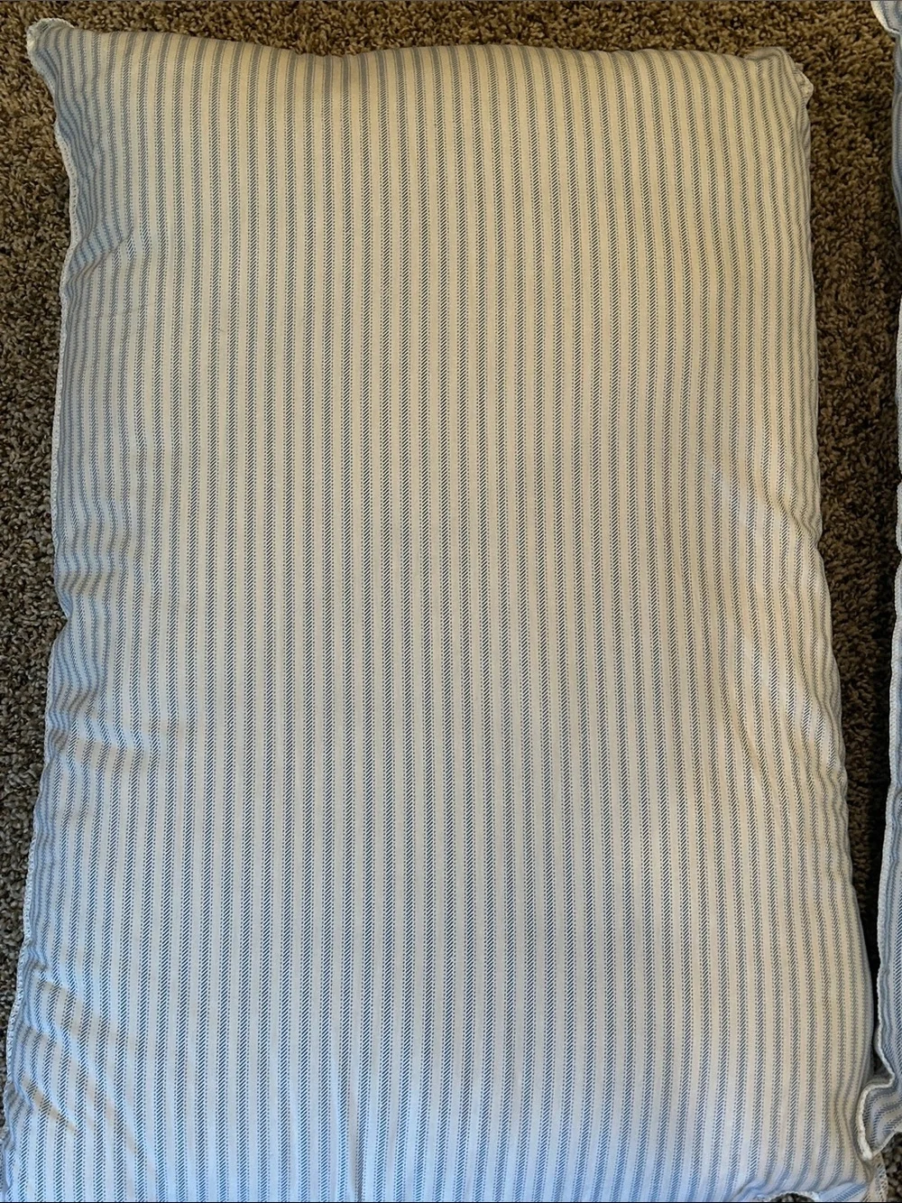 Hollander Live Comfortably Pillows 20x28 - Standard/Queen Set of 2